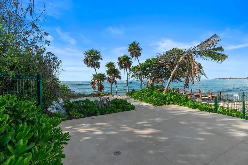 公寓 Akumal Skies Private Terrace W Jacuzzi W Sea Views Walk To Beach 墨西哥