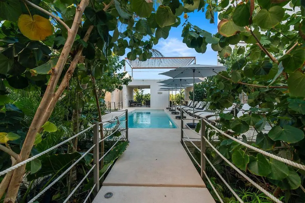 Akumal Skies Private Terrace W Jacuzzi W Sea Views Walk To Beach Μεξικό